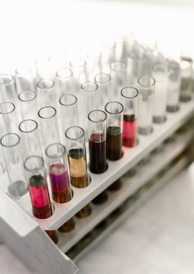 What to expect from allergy testing: Common allergy tests