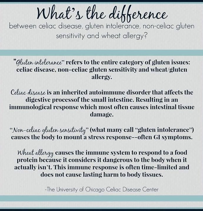 Wheat allergy, Celiac, and NCGS: Wait! They’re not the same?